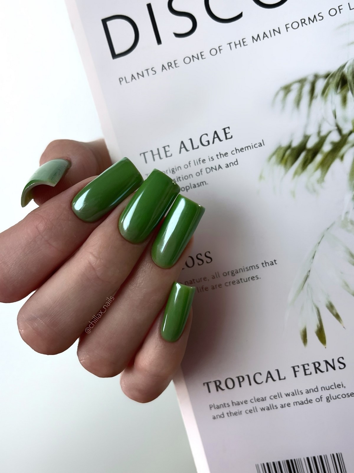 Нежное сияние на ногтях зимой 2026 – тренд, который смотрится дорого